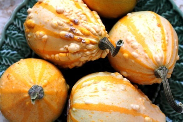 Decorative gourds from Go Gingham