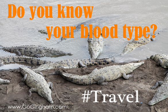 Do you know your blood type? Travel with Go Gingham