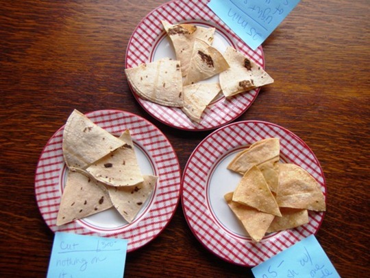 Homemade tortilla chips