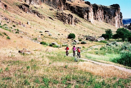 Camp Cooking Supplies Camp-Meal-planning.jpg