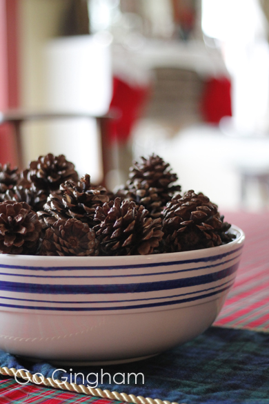 Decorating with Nature Go Gingham Decorating with Nature Go Gingham