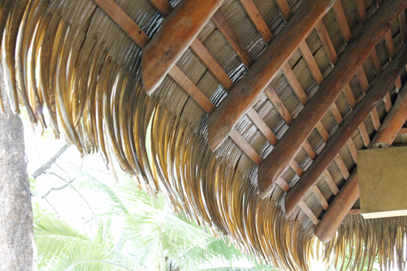 Eco Travel in Costa Rica from Go Gingham