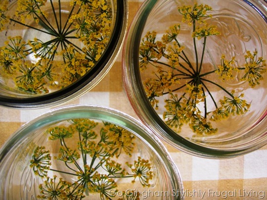 Go Gingham: Home organization food storage