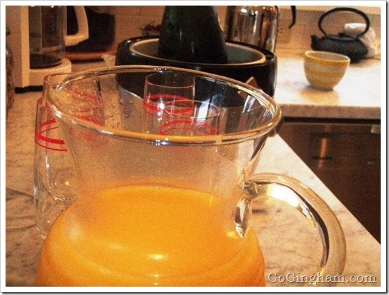 Go Gingham TV Show Premiere Party