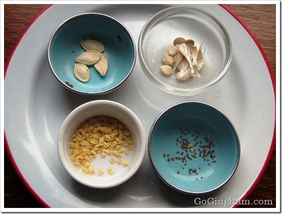 Vegetable Seeds from the Garden