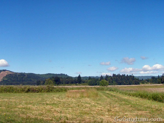 Strawberry Picking Adventures Strawberry Picking Adventures