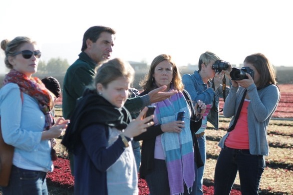 Experience Earthbound Farm with Go Gingham