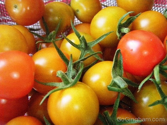 Go Gingham: Preparing for tomato season
