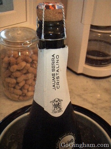 Go Gingham: Lights, Camera, Action!