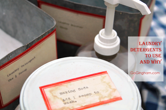Laundry Detergents to Use and Why from www.GoGingham.com