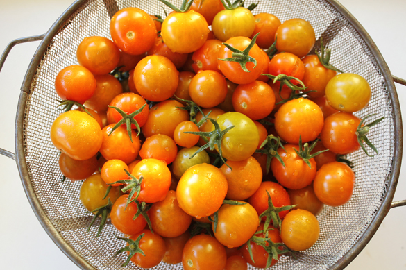 Go Gingham: Tomatoes from garden Buying organic veggies from Go Gingham Stylishly Frugal Living