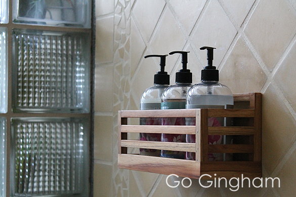 Eco Travel in Costa Rica from Go Gingham