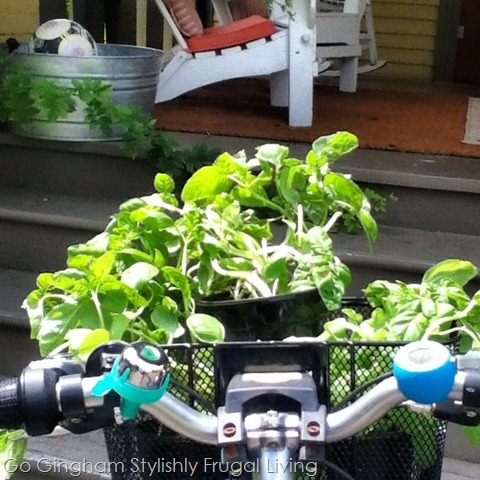 Green Living is Often Grey Green Living is Often Grey