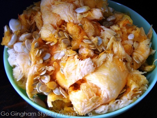 Goopy seeds pumpkins and squash Goopy seeds pumpkins and squash