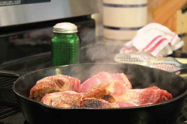 Slow Cooker Mexican Pulled Pork from GoGingham.com