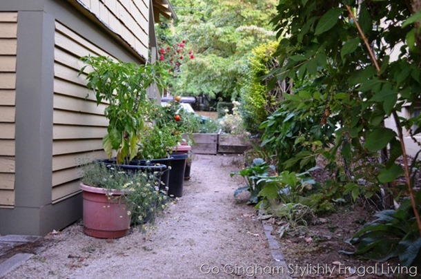 5 steps Found Garden Space