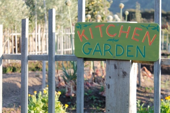 Happy Earth Day from Go Gingham