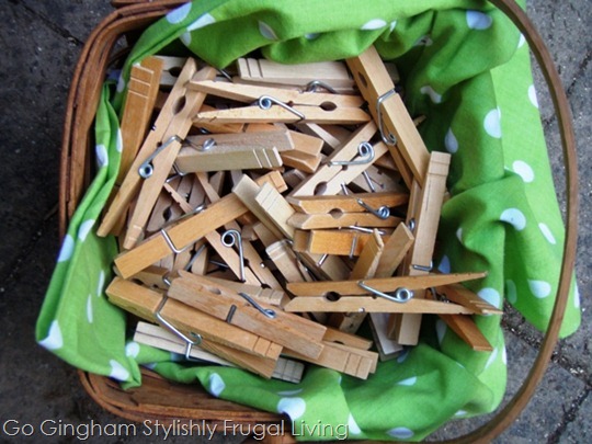 Happy Earth Day from Go Gingham