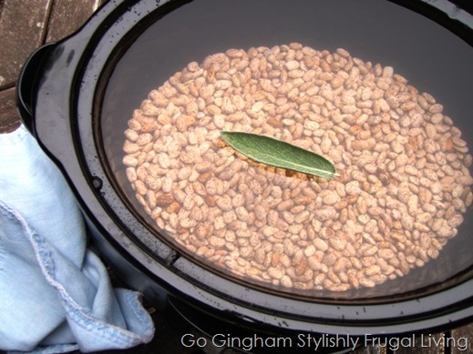 Go Gingham How to cook dried beans