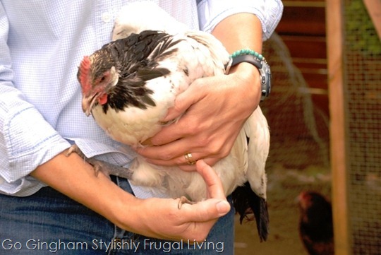 Go Gingham Weekly Meal Plan