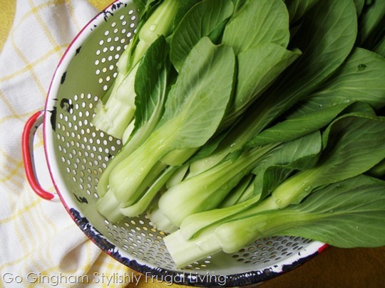 Baby bok choy